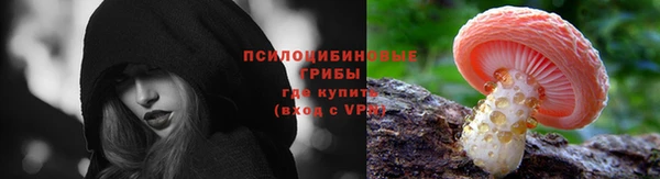 apvp Лагань
