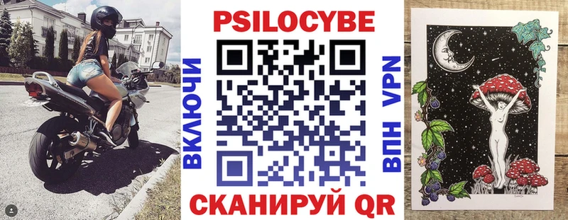 Галлюциногенные грибы Psilocybine cubensis  Дегтярск 